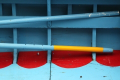 Primarily Color