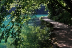 Sheltered Path