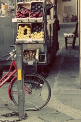 A Bite or a Bike