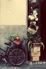 Mobile Display