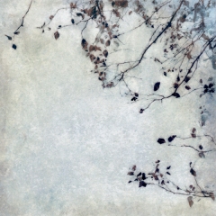 A Bit Blue