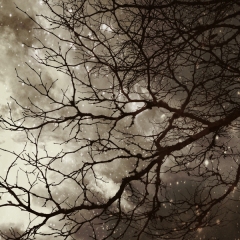 Mysteries