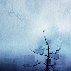 Adorned and Alone