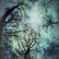 Under the Surface