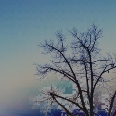 Digitized