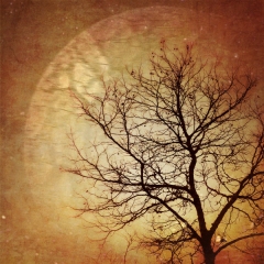 Potential for Greatness