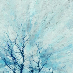 Becoming Light