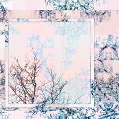 Window to Winter