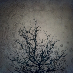 Vortex