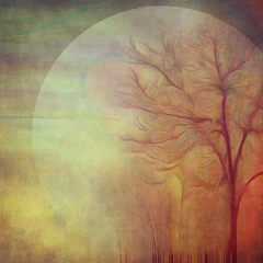 Dream Sequence #29