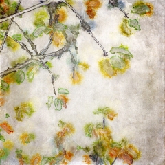 From One Season to Another