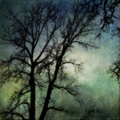 Moody