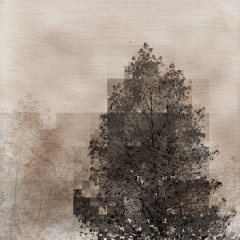 Tree, Squared