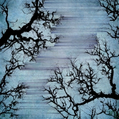 Silent Communication